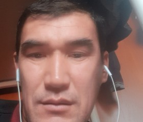 Раушанбек, 44 года, Алматы