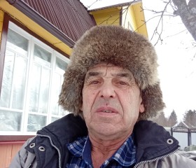 Николай, 66 лет, Волхов