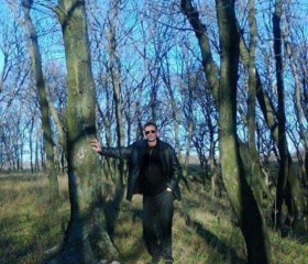 Grigoriy, 48, Bolnisi