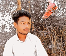 Alam, 20 лет, Kanpur