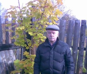 Николай, 72 года, Пермь