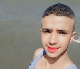 ابو سفيان, 19 лет, طنطا