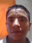 Alex norberto Du, 25 лет, Ciudad de La Santísima Trinidad y Puerto de Santa María del Buen Ayre