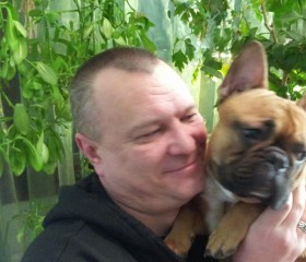 Igor, 57, Torrevieja