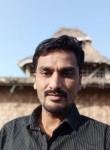 Nilesh, 30 лет, Bhavnagar