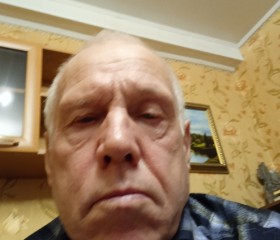 Юрий Андреев, 69 лет, Струги-Красные