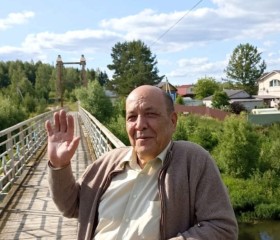 Берендей, 79 лет, Гаврилов-Ям