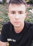 Shohruh Bakirov, 23 года, Подольск