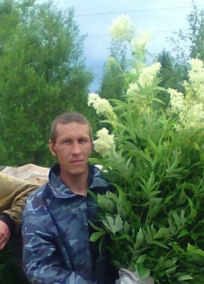Алексей Борисов, 45, Россия, Тобольск