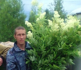 Алексей Борисов, 45 лет, Тобольск