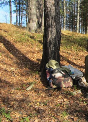 Виктор Соколов, 67, Россия, Санкт-Петербург