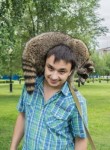 Никита, 33 года, Новокузнецк
