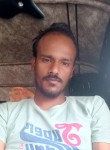 Danish Ansari, 31 год, Delhi