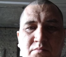 Олег, 45 лет, Сыктывкар