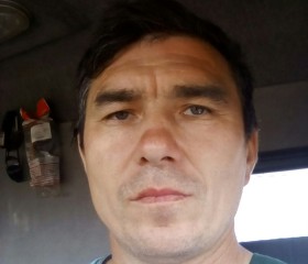 Олег, 47 лет, Шепси