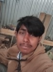 Sameer, 20 лет, Srinagar (Jammu and Kashmir)