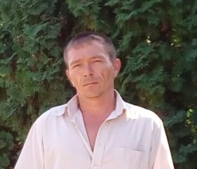 Николай, 47 лет, Липецк