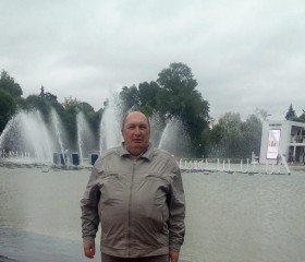 Viktor, 63 года, Новозыбков