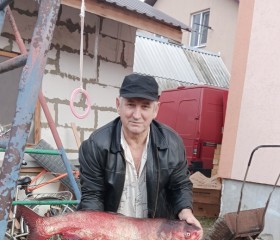 Александр, 67 лет, Пенза