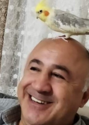 Mehmet, 55, Türkiye Cumhuriyeti, Bolu