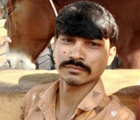 Gopal Dabhi, 28 лет, Rajkot