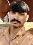 Gopal Dabhi, 28 лет, Rajkot