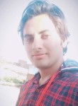 Rashid khan, 26 лет, Palwal