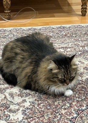 Valeriy, 26, Russia, Moscow