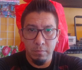 Jesus Ramirez, 37 лет, México Distrito Federal
