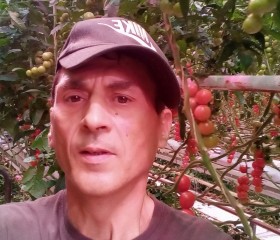 Vlase Petru, 51, Hamburg