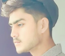 shahrukh pashah, 23 года, Delhi