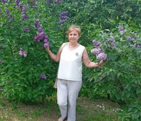 Светлана, 55 лет, Владимир