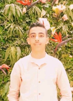 حموووو, 23, Egypt, Abu Tij