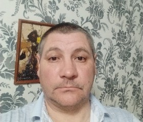 Алексан Троицкий, 51 год, Самара