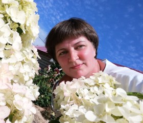 Светлана, 46 лет, Сызрань