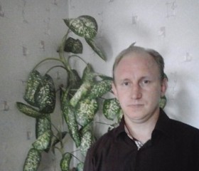 Алексей, 47 лет, Бежецк