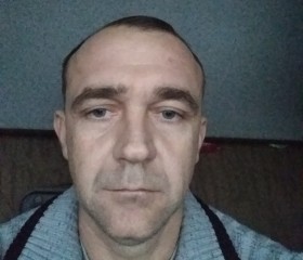 Денис, 44 года, Данков
