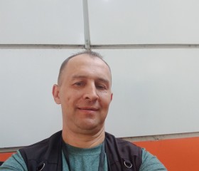 Алексей Дмитриев, 45 лет, Колпино