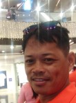 Roger, 46 лет, Bagong Pagasa