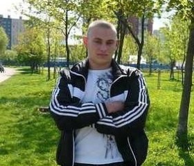 Юрий, 31 год, Новодвинск
