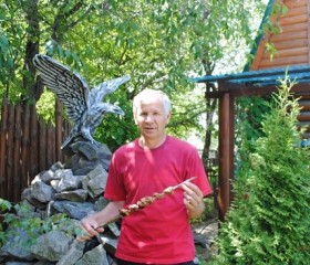 владимир, 72 года, Луганськ