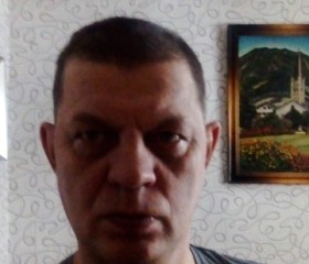 Сергей, 56 лет, Тогучин