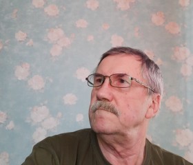 Николай, 70 лет, Солнцево