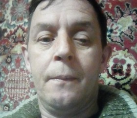 Анатолий, 51 год, Пермь