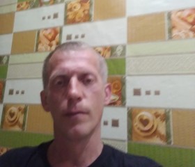 Эдуард Плотников, 48 лет, Глазов