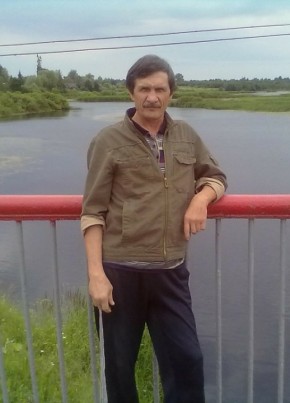 vishnikovvikto, 64, Россия, Дно
