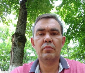 Владимир, 54 года, Армавир