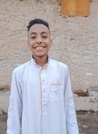 احمد العالمي, 19 лет, أسوان