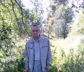 Владимир, 71 год, Комсомольск-на-Амуре