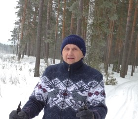 Анат, 56 лет, Нижний Новгород